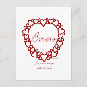 Boxer True Love Postcard