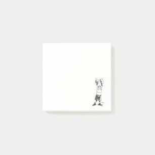 Boxer white note pads