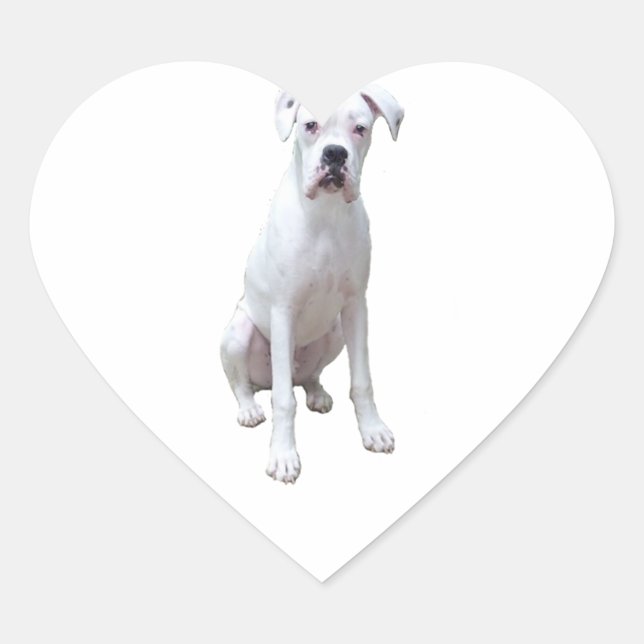 BOXER - White pup.png Heart Sticker (Front)