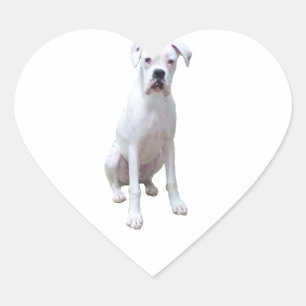BOXER - White pup.png Heart Sticker