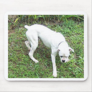 Boxer White Puppy full Mouse Mat