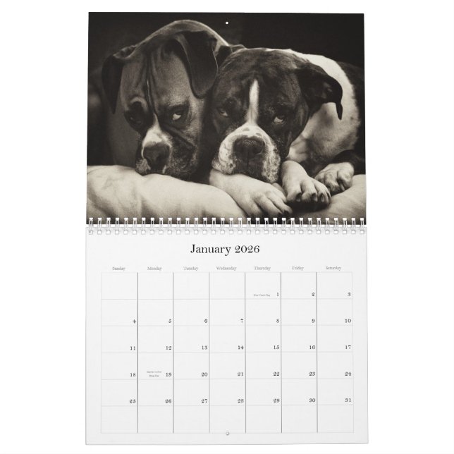 BOXERS 2010 CALENDAR (Jan 2026)