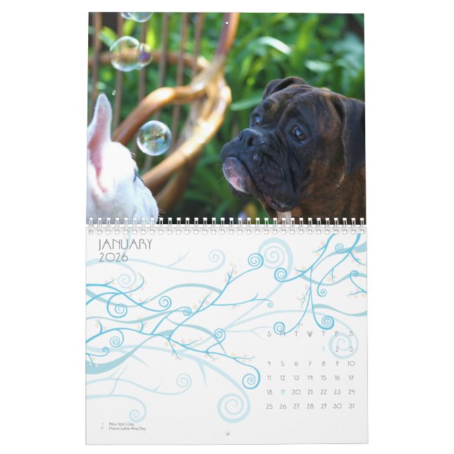 Boxers 2011 Calendar (Jan 2026)