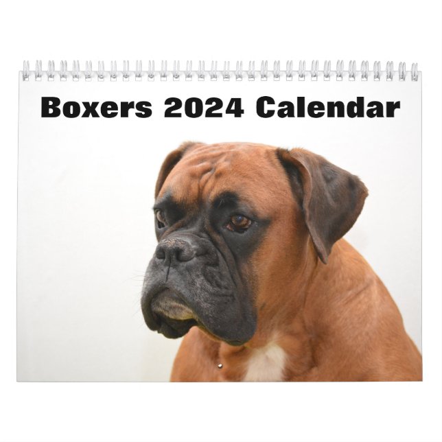 Boxers Dogs 2024 Calendar (Cover)