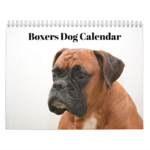 Boxers Dogs 2025 Calendar