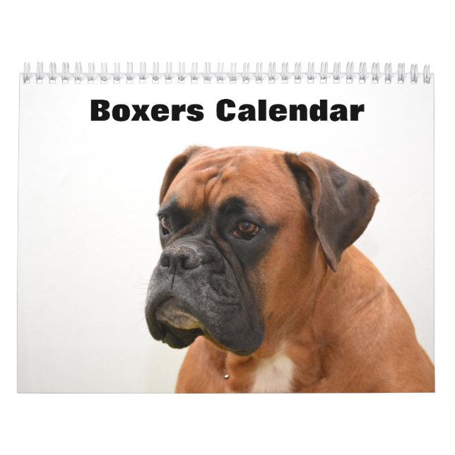 Boxers Dogs 2025 Calendar (Cover)