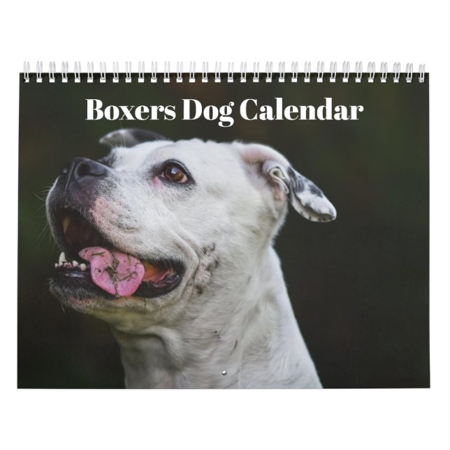 Boxers Dogs 2026 Calendar (Cover)