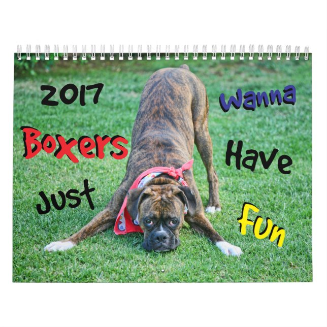 Boxers Just Wanna Have Fun 2017 Calendar (Cover)