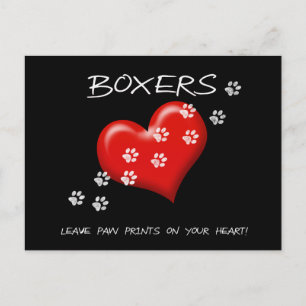 Boxers leave paw prints on ur heart Post card