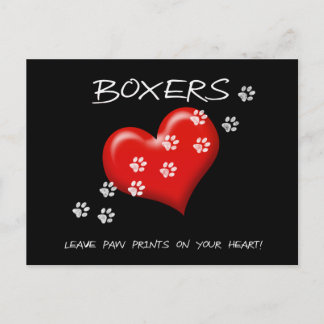 Boxers leave paw prints on ur heart Post card