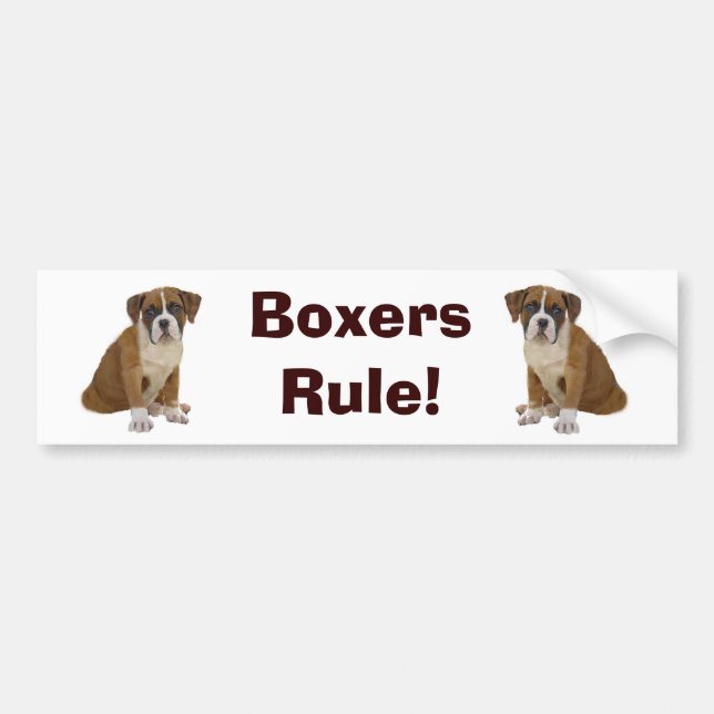 Boxers Rule Bumper Sticker (Front)