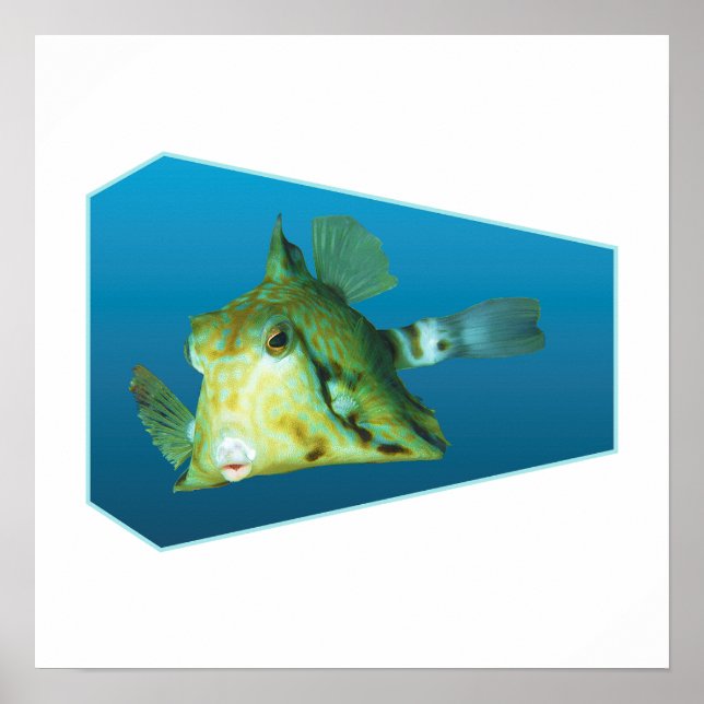Boxfish - Design gradient blue background |  Poster (Front)