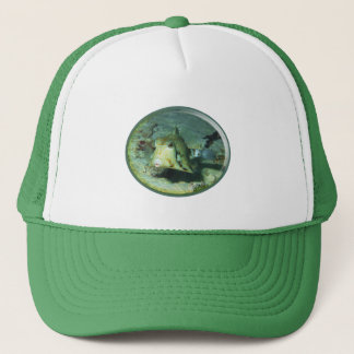 Boxfish - so Cute! Photograhic Design of Cowfish | Trucker Hat