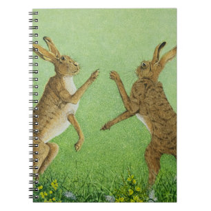 Boxing clever notebook