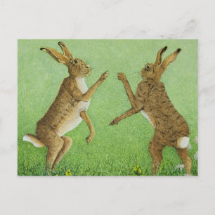 Boxing clever postcard