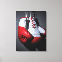 Boxing gloves
