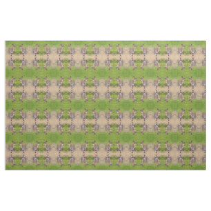 Boxing Kangaroos Fabric