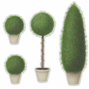 Boxwood Topiary Collection Charming Garden