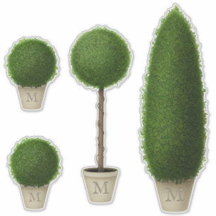 Boxwood Topiary Collection Monogrammed or Spelling