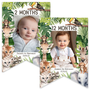 Boy 1st birthday Wild One Animals Montly Photo Bunting