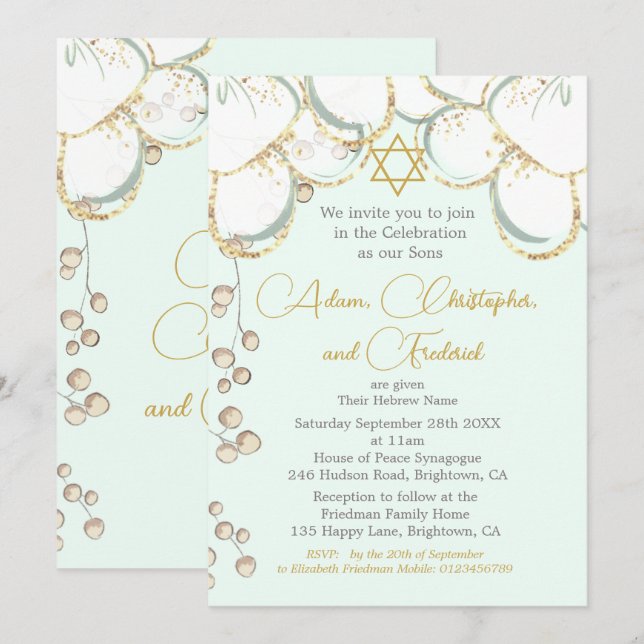 Boy Baby Hebrew Twin Triplet Naming Ceremony  Invitation (Front/Back)