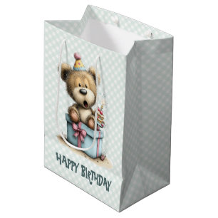 Boy Birthday Teddy Bear Gift  Medium Gift Bag