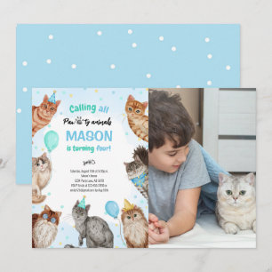 Boy Cat Pawty Animals Birthday Photo Invitation