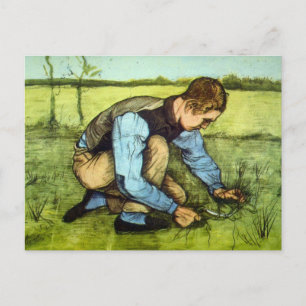 Boy Cutting Grass with Sickle by Vincent van Gogh Postcard