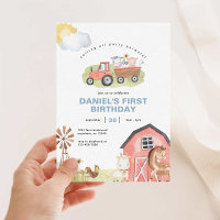Boy Farm Animals Barnyard Birthday Party 