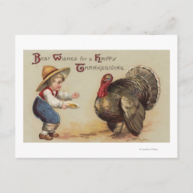 Boy Feeding Turkey Postcard (Front)