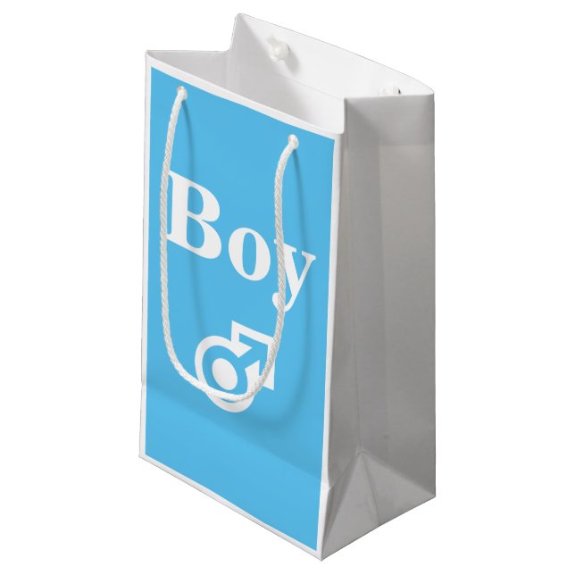 Boy girl gender reveal baby shower party pink blue small gift bag (Front Angled)