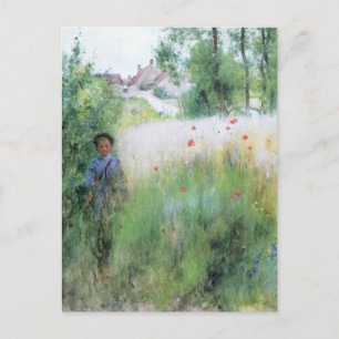 Boy in the Meadow Postcard