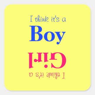 Boy or Girl Baby Gender Reveal Game Sticker