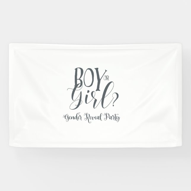 Boy or Girl Gender Revel Banner (Horizontal)