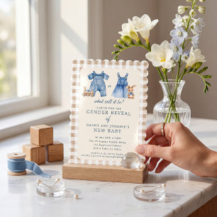 Boy or Girl Gingham Baby Reveal Invitation