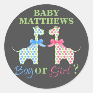 Boy Or Girl Giraffe Gender Reveal Classic Round Sticker