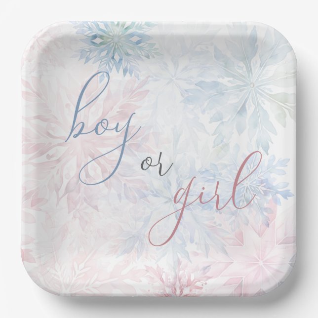 Boy or Girl Winter Pink Blue Snowflake Paper Plate (Front)