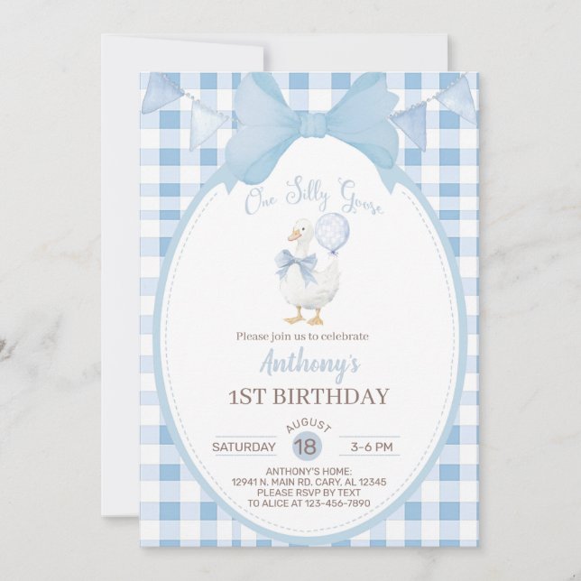 Boy Silly Goose 1st first birthday invite, goose. Invitation (Front)