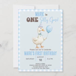 Boy Silly Goose 1st first birthday invite, goose. Invitation