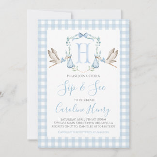 Boy Stork Baby Sip and See Preppy Gingham Blue Invitation