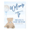 Boy Teddy Bear Blue Balloon Welcome Sign Poster