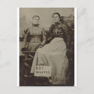 Boy Wanted Postcard