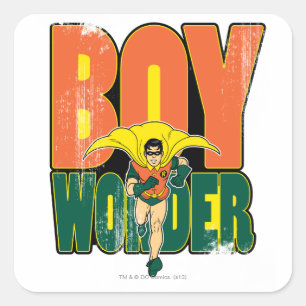 Boy Wonder Graphic Square Sticker