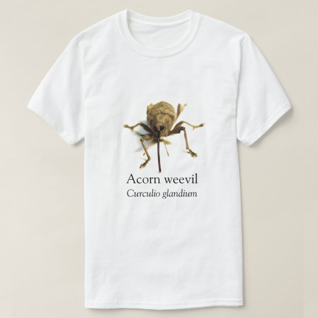 BOYB Acorn Weevil T-Shirt (Design Front)