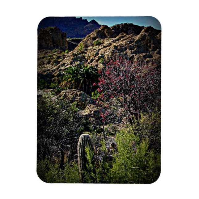 Boyce Thompson Arboretum Magnet (Vertical)