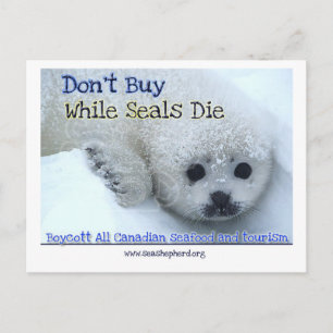 Boycott Canada Postcard