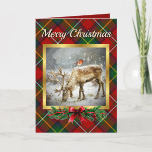 Boyd Stag & Robin Tartan Personalised  Holiday Card