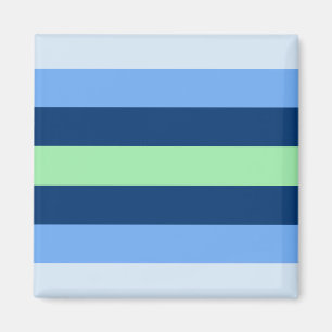 Boyflux Pride Flag  Magnet