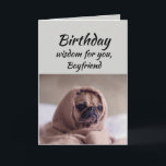 Boyfriend Humour Birthday Wisdom Cute Pug Dog Card<br><div class="desc">Birthday wisdom for your Boyfriend from the cute Pug in a Rug.   Fun animal Birthday cards</div>