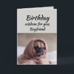 Boyfriend Humour Birthday Wisdom Cute Pug Dog Card<br><div class="desc">Birthday wisdom for your Boyfriend from the cute Pug in a Rug.   Fun animal Birthday cards</div>